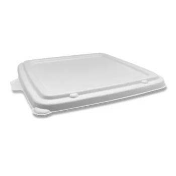 Sugarcane  Lid Square Takeaway Tray 9″ 200pc/ctn