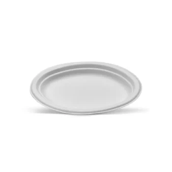 Sugarcane Oval Plate Small 500pc/ctn